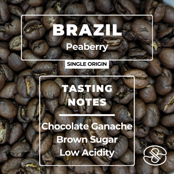 brazil peaberry coffee label with taste notes